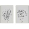 image:imageKate and Laurel Sylvie Neutral Botanical 1 and 2 Soft White Framed Canvas Wall Art by The Creative Bunch Studio 2 Piece 18x24 Natural Farmhouse Botanical Wall DcorWhite
