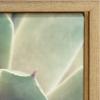 image:imageKate and Laurel Sylvie Succulent 1 Color Photograph Framed Canvas Wall Art by F2 Images 18x24 Gold