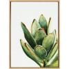 image:imageKate and Laurel Sylvie Succulent 18 Framed Canvas by Jennifer Redstreake Geary 18x24 Natural Botanical Art Decor for Living Room Bedroom EntrywayNatural