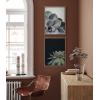 image:imageKate and Laurel Sylvie Succulent 5 and Succulent 8 Framed Canvas Wall Art Set by Emiko and Mark Franzen of F2Images 2 Piece Set 18x24 Gold Modern Botanical Wall Dcor