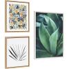 image:imageKate and Laurel Sylvie Tropical Wanderlust Botanical Wall Art Collection by Cat Coquillette Teju Reval and F2Images 3 Piece 16x20 and 23x33 Natural Succulent Art for Wall