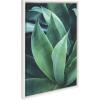 image:imageKate and Laurel Sylvie Tropical Wanderlust Botanical Wall Art Collection by Cat Coquillette Teju Reval and F2Images 3 Piece 16x20 and 23x33 Natural Succulent Art for Wall