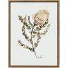 image:imageKate and Laurel Sylvie Wild Banksia Framed Canvas Wall Art by Sara Berrenson 18x24 Natural Nature Art for WallGold