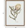 image:imageKate and Laurel Sylvie Wild Banksia Framed Canvas Wall Art by Sara Berrenson 18x24 Natural Nature Art for WallGold