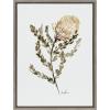 image:imageKate and Laurel Sylvie Wild Banksia Framed Canvas Wall Art by Sara Berrenson 18x24 Natural Nature Art for WallGray