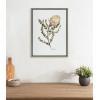 image:imageKate and Laurel Sylvie Wild Banksia Framed Canvas Wall Art by Sara Berrenson 18x24 Natural Nature Art for WallGray