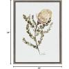 image:imageKate and Laurel Sylvie Wild Banksia Framed Canvas Wall Art by Sara Berrenson 18x24 Natural Nature Art for WallGray