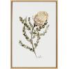 image:imageKate and Laurel Sylvie Wild Banksia Framed Canvas Wall Art by Sara Berrenson 18x24 Natural Nature Art for WallNatural