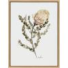 image:imageKate and Laurel Sylvie Wild Banksia Framed Canvas Wall Art by Sara Berrenson 18x24 Natural Nature Art for WallNatural