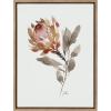 image:imageKate and Laurel Sylvie Wild King Protea Framed Canvas Wall Art by Sara Berrenson 18x24 Natural Beautiful Wild Flower Art for WallGold