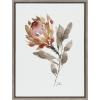 image:imageKate and Laurel Sylvie Wild King Protea Framed Canvas Wall Art by Sara Berrenson 18x24 Natural Beautiful Wild Flower Art for WallGray