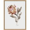 image:imageKate and Laurel Sylvie Wild King Protea Framed Canvas Wall Art by Sara Berrenson 18x24 Natural Beautiful Wild Flower Art for WallNatural