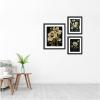 image:imageMoody Whites Floral No 3 3 Piece Framed Wall Art Print Set by Annie Quigley