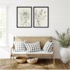 image:imageSB Protea Sketch No 1 amp No 2 2 Piece Framed Wall Art Print Set by Sara Berrenson
