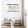 image:imageSB Protea Sketch No 1 amp No 2 2 Piece Framed Wall Art Print Set by Sara Berrenson