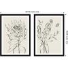 image:imageSB Protea Sketch No 1 amp No 2 2 Piece Framed Wall Art Print Set by Sara Berrenson