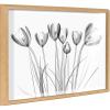image:imageKate and Laurel Blake Crocus X Ray Floral BW Framed Printed Glass Wall Art by The Creative Bunch Studio 18x24 Natural Decorative Modern Flower Art Print for Wall