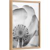 image:imageKate and Laurel Blake Poppy X Ray Floral 2 BW Framed Printed Glass Wall Art by The Creative Bunch Studio 18x24 Natural Decorative Modern Flower Art Print for Wall