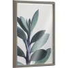 image:imageKate and Laurel Blake Senecio 1 Framed Printed Glass Wall Art by Emiko and Mark Franzen of F2Images 18x24 Gray Decorative Botanical Art for Wall