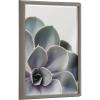 image:imageKate and Laurel Blake Succulent 5 Framed Printed Glass Wall Art by Emiko and Mark Franzen of F2Images 18x24 Gray Decorative Plant Art for Wall