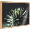 image:imageKate and Laurel Blake Warrior Succulent Framed Printed Glass Natural Plant Wall Art by Emiko and Mark Franzen of F2Images 18x24 Natural Moody Botanical Glass Art
