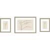 image:imageKate and Laurel Botanical Sketch Warm 3 Piece Framed Wall Art Print Set by Stephanie Klatt Belmont Distress Silver Modern Contemporary Flower Art for Wall Decor