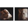 image:imageKate and Laurel Cow Close 2 Piece Framed Canvas Wall Art Set by Emiko and Mark Franzen F2 Images Sylvie Beaded Black Rustic Farmhouse Animal Art for Wall Decor