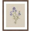 image:imageKate and Laurel Framed Wall Art Print AQ Simple Bloom No 2 by Annie Quigley 22 x 26 Florence Medium Brown Frame Vintage Flower Art for Wall Decor