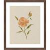 image:imageKate and Laurel Framed Wall Art Print AQ Simple Bloom No 7 by Annie Quigley 22 x 26 Florence Medium Brown Frame Vintage Flower Art for Wall Decor
