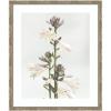 image:imageKate and Laurel Framed Wall Art Print Hosta by Alicia Abla 22 x 26 Mila Dark Silver Frame Modern Contemporary Flower Art for Wall Decor26L x 22W
