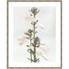 image:imageKate and Laurel Framed Wall Art Print Hosta by Alicia Abla 22 x 26 Mila Dark Silver Frame Modern Contemporary Flower Art for Wall Decor42L x 34W