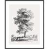 image:imageKate and Laurel Framed Wall Art Print Jean Victor Bertin Study of a Tree 1816 by The Art Institute of Chicago 21 x 25 Stylish Black Narrow Frame Vintage Landscape Art for Wall Decor41L x 33W