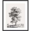 image:imageKate and Laurel Framed Wall Art Print Jean Victor Bertin Study of a Tree 1816 by The Art Institute of Chicago 21 x 25 Stylish Black Narrow Frame Vintage Landscape Art for Wall Decor25L x 21W