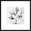 image:imageKate and Laurel Framed Wall Art Print Modern Succulent by Tai Prints 25 x 25 Svelte Noir Black Frame Modern Contemporary Flower Art for Wall DecorSvelte Noir Black