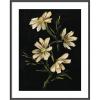 image:imageKate and Laurel Framed Wall Art Print Moody Floral 4 by Annie Quigley 21 x 25 Stylish Black Narrow Frame Modern Contemporary Flowers Art for Wall Decor41L x 33W