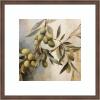 image:imageKate and Laurel Framed Wall Art Print Olive Tree by The Creative Bunch Studio 26 x 26 Florence Medium Brown Frame Rustic Farmhouse Still Life Art for Wall DecorFlorence Medium Brown