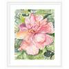 image:imageKate and Laurel Framed Wall Art Print Pink Hibiscus In Antigua by Patricia Shaw 23 x 27 Oliver White Narrow Frame Coastal Flowers Nature Art for Wall Decor27L x 23W