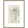 image:imageKate and Laurel Framed Wall Art Print SB Protea Sketch No 1 by Sara Berrenson 19 x 25 Svelte Noir Black Frame Modern Contemporary Flower Art for Wall DecorWoodgrain Stripe Mocha