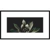 image:imageKate and Laurel Framed Wall Art Print Salutation by Emiko and Mark Franzen F2 Images 41 x 24 Svelte Noir Black Frame Modern Contemporary Flower Art for Wall Decor