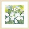 image:imageKate and Laurel Framed Wall Art Print White Phantom Hydrangea in Greens by Patricia Shaw 26 x 26 Woodgrain Stripe Blonde Frame Global Flowers Nature Art for Wall Decor
