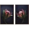 image:imageKate and Laurel Moody ProteaNo 1 amp No 2 2 Piece Framed Canvas Wall Art Set by Emiko and Mark Franzen F2 Images Sylvie Beaded Dark Gold Modern Contemporary Flower Art for Wall Decor