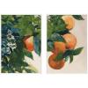 image:imageKate and Laurel Oranges on a Branch 2 Piece Framed Canvas Wall Art Set by Nostalgia Prints Sylvie White Modern Contemporary Nature Art for Wall Decor