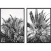 image:imageKate and Laurel Palms No 13 amp No15 2 Piece Framed Canvas Wall Art Set by Alicia Bock Sylvie Beaded Black Modern Contemporary Nature Art for Wall Decor