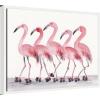 image:imageKate and Laurel Rollerskating Flamingos Framed Canvas Wall Art by Patricia Shaw 24 x 18 Sylvie White Whimsical Animals Nature Humor Art for Wall Decor Living Room Bedroom