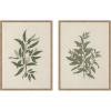 image:imageKate and Laurel Salix subserrata Willd Willow amp Osyris Lanceolate African Sandalwood 2 Piece Framed Canvas Wall Art Set by Nostalgia Prints Sylvie Beaded Rustic Natural Vintage Nature Art for Wall