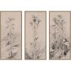 image:imageKate and Laurel Study of Thistles and Grass Walter Clark 3 Piece Framed Canvas Wall Art Set by The Smithsonian American Art Museum Sylvie Dark Gold Vintage Flower Art for Wall Decor