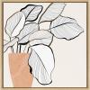 image:imageKate and Laurel Sylvie Botanical Calathea 4 Framed Canvas Wall Art by Dominique Vari 22x22 Natural Decorative Minimalist Botanical Art