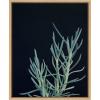 image:imageKate and Laurel Sylvie Botanical Succulent 16 Framed Canvas Wall Art by F2 Images 18x24 Natural