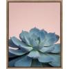 image:imageKate and Laurel Sylvie Botanical Succulent Color Photograph Framed Canvas Wall Art by F2 Images 18x24 GoldGold