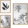image:imageKate and Laurel Sylvie Coastal Coconut Palm Tree Beach 583 Banana Leaf and Palm I Framed Canvas Wall Art Set by Various Artists 3 Piece Set Natural Coastal Beach Palm Tree Art for Wall